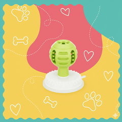 Collection image for: Con sopapa