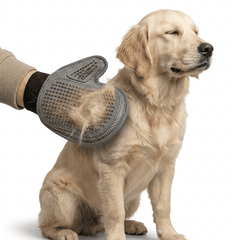 Collection image for: Grooming e higiene para perros
