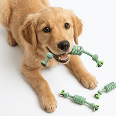 Collection image for: Juguetes de soga para perros