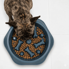 Collection image for: Comederos para perros