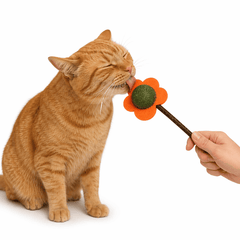 Collection image for: Golosinas para gatos