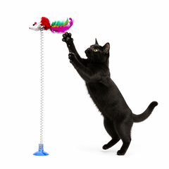 Collection image for: Juguetes con sopapa para gatos