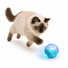 Collection image for: Pelotas para gatos