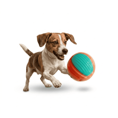 Collection image for: Pelotas para Perros