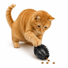Collection image for: Premiadores para gatos