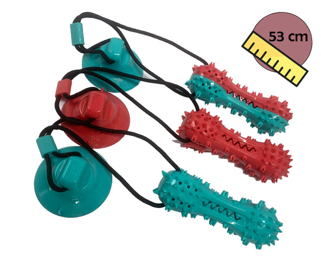 Juguete Dental Con Ventosa 53cm PHI PHI PETS 1