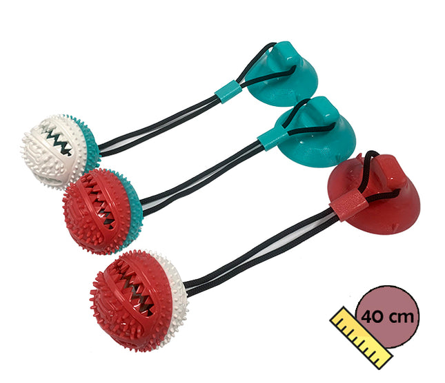 Pelota Dental Con Ventosa 40cm PHI PHI PETS 1